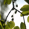 constantinearts > DSC_6376