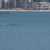 constantinearts > DSC_0932