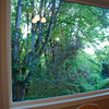 constantinearts > DSC_2222