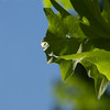 constantinearts > DSC_2273