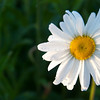 constantinearts > DSC_2608